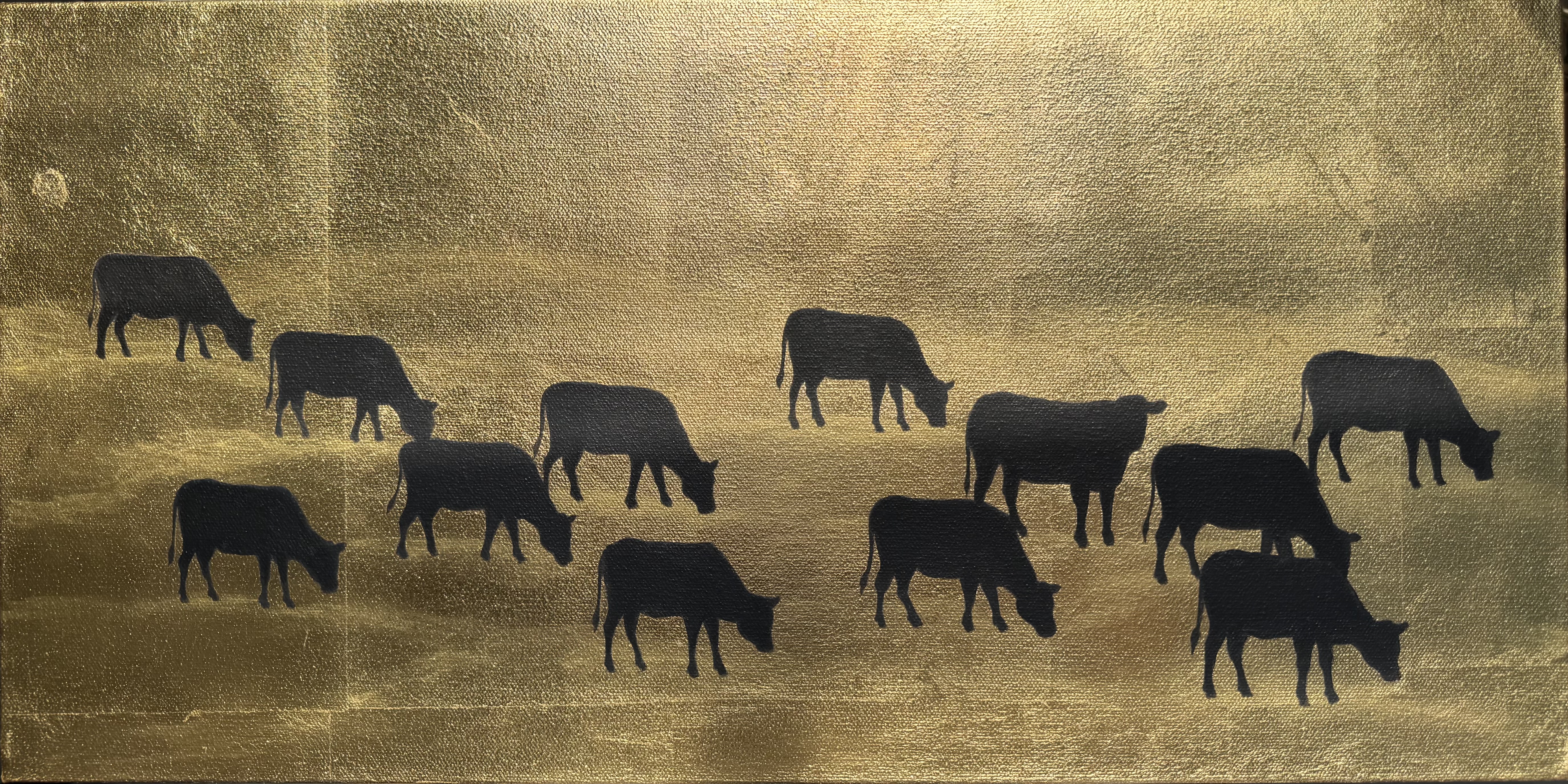 Cows